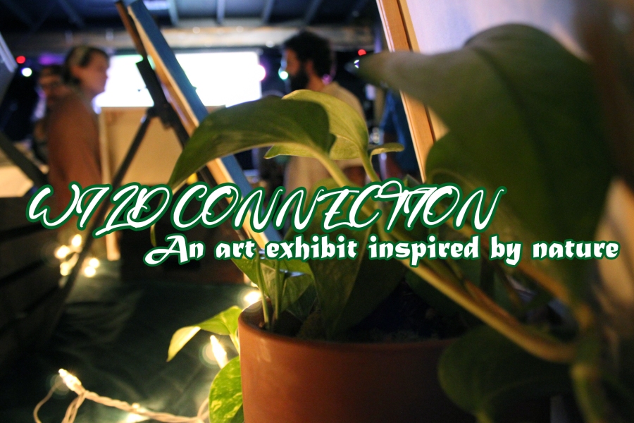 ‘Wild Connection; An Art Exhibit Inspired by Nature’ benefiting Save Northeast Denton 10/26/23 Experience